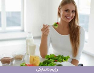 رژیم دانمارکی